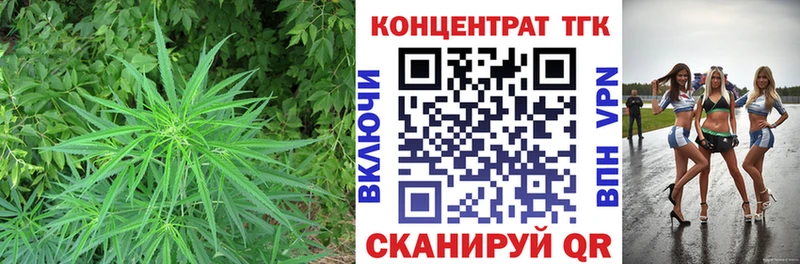 Дистиллят ТГК вейп  Оса 
