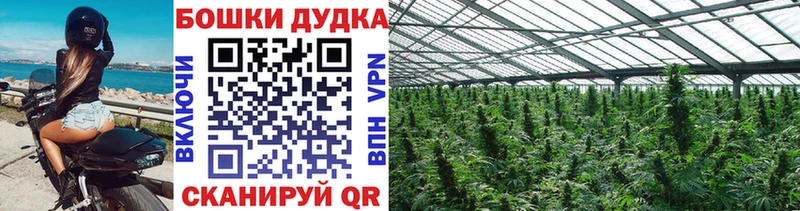 Конопля Bruce Banner  где найти   blacksprut онион  Оса 